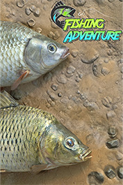 نصب بازی Fishing Adventure